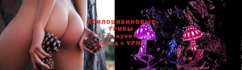 Галлюциногенные грибы Psilocybe  что такое наркотик  гидра ссылки  Духовщина 